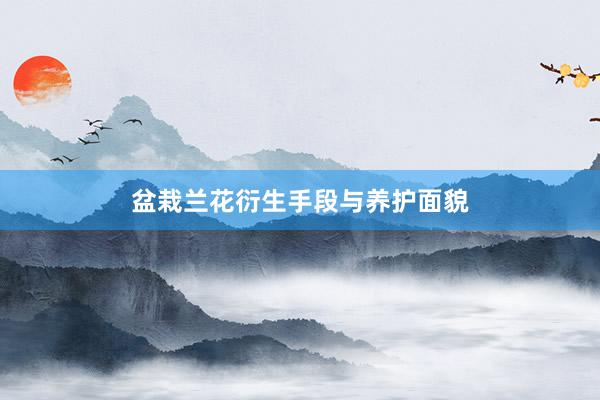 盆栽兰花衍生手段与养护面貌