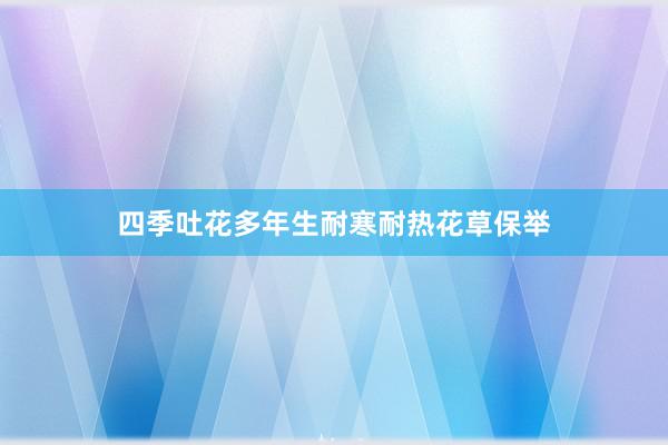 四季吐花多年生耐寒耐热花草保举