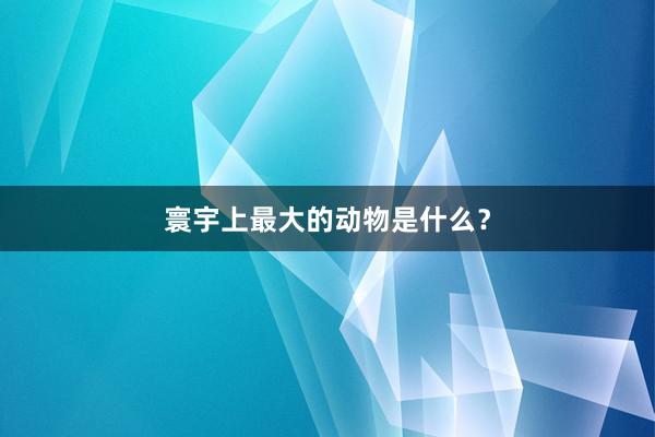 寰宇上最大的动物是什么？