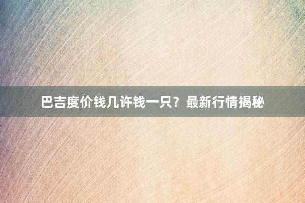 巴吉度价钱几许钱一只？最新行情揭秘