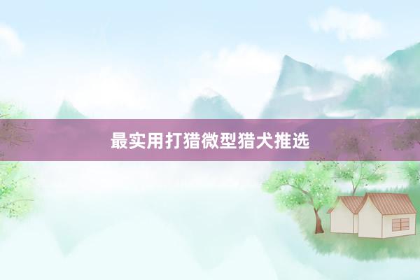 最实用打猎微型猎犬推选