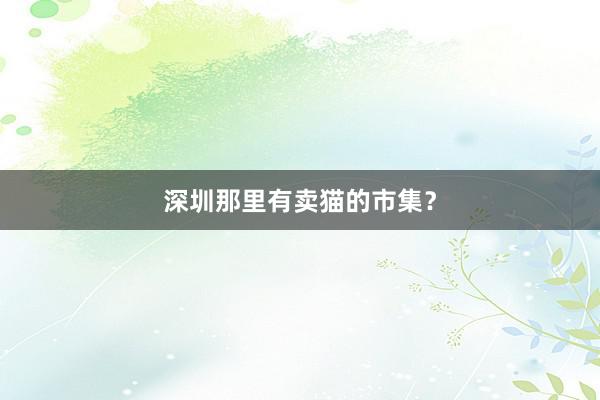 深圳那里有卖猫的市集？